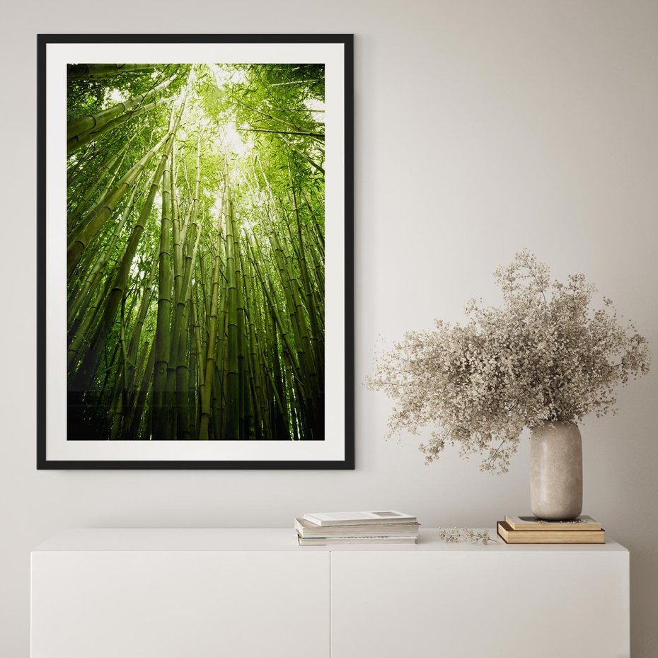 Plakat w ramie 30x40 - Siła Natury - drzewa, las - rama czarna