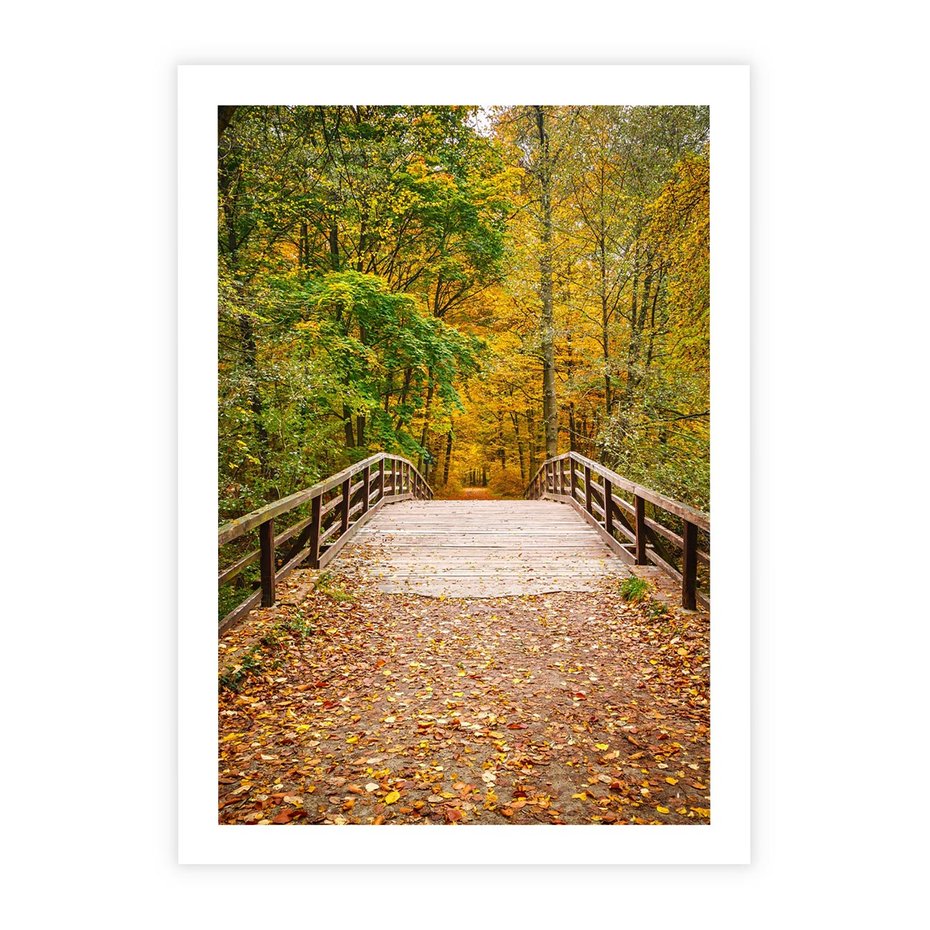 Plakat bez ramy 21x30 - Spacer Ścieżką w Las - ścieżka, spacer