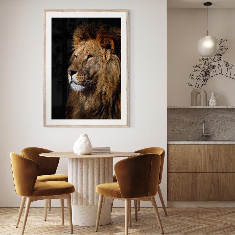 Plakat w ramie 50x70 - Władca Dzikiej Przyrody - lew, król - rama drewno