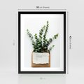 Plakat w ramie 30x40 - Eukaliptusowa harmonia - eukaliptus, liście - rama czarna