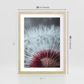 Plakat w ramie 30x40 - Dmuchawiec w Detalu - dmuchawiec, zdjęcie makro - rama drewno