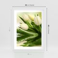 Plakat w ramie 30x40 - Białe Piękno - białe, tulipany - rama biała