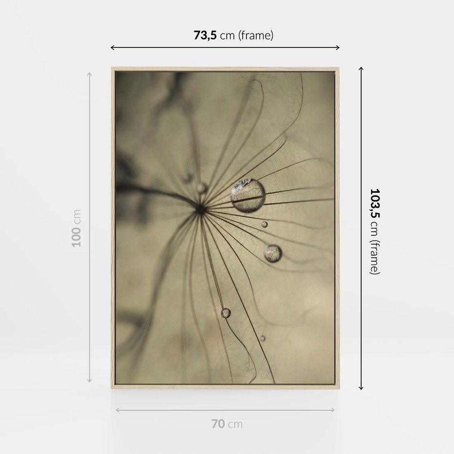 Obraz w ramie 70x100 - Delikatność dmuchawców - dmuchawce, krople - rama drewno
