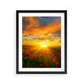 Plakat w ramie 40x50 - Magia zachodu słońca na łące z makami - łąka, zachód słońca - rama czarna