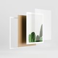 Plakat w ramie 50x70 - Minimalizm Natury - kaktus, zbliżenie - rama biała