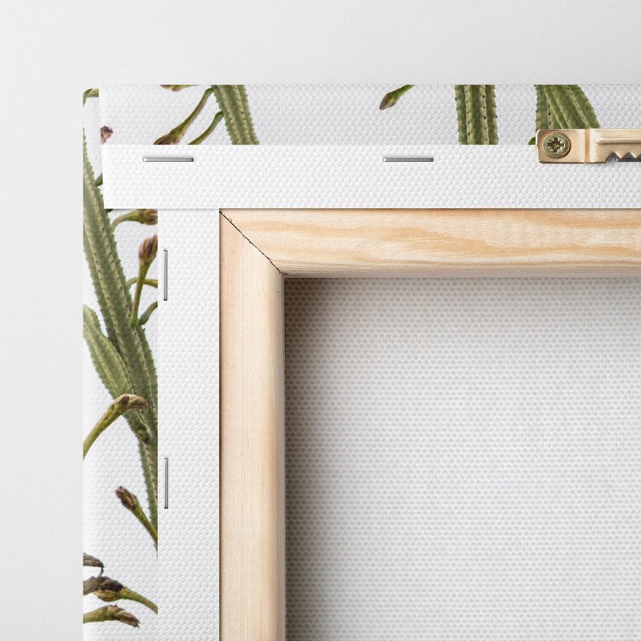 Obraz na płótnie 80x120 - Ekskluzywna Roślinność - kaktusy, liście