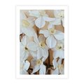 Plakat bez ramy 50x70 - Białe Narcyzy - narcyzy, kwiaty