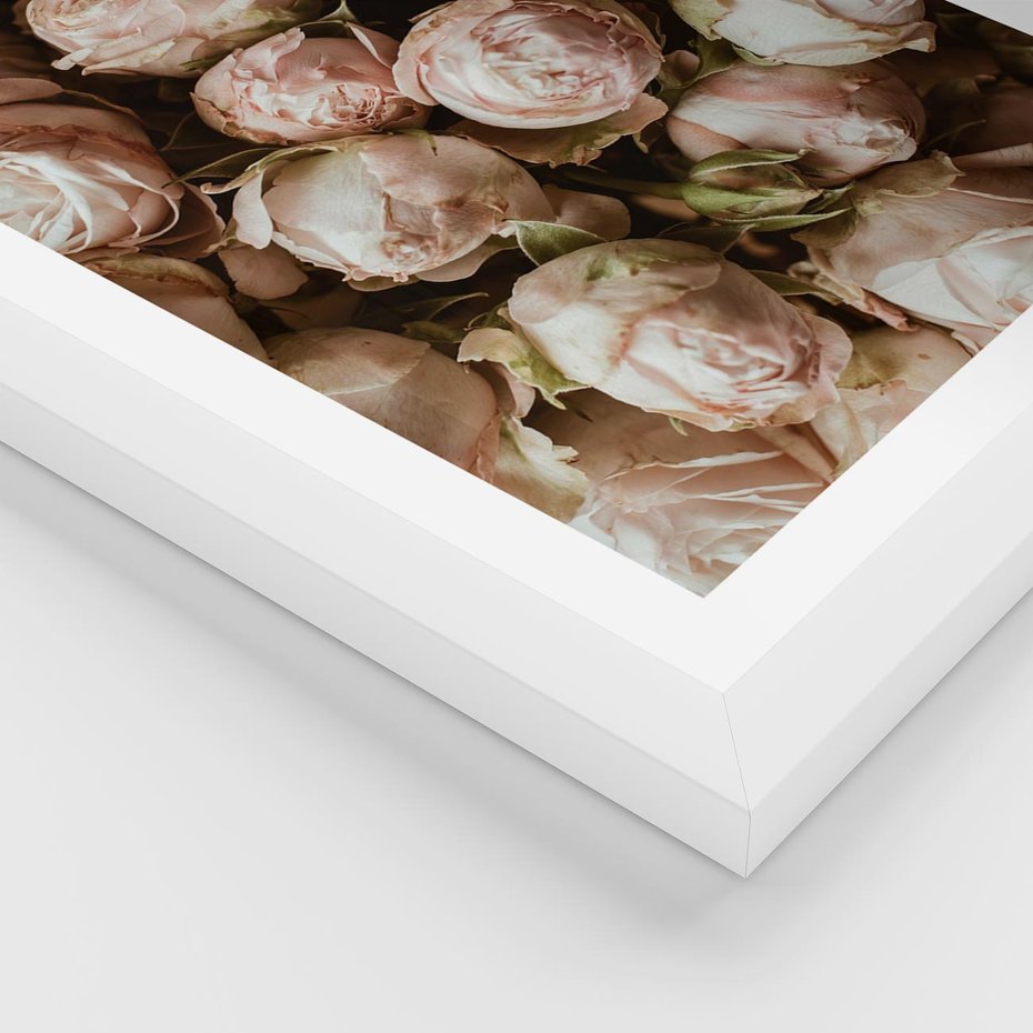 Plakat w ramie 50x70 - Róże i Różowe Kwiaty w Kompozycji - róże, różowe kwiaty - rama biała