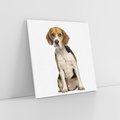 Obraz na płótnie 50x50 - Wierność i radość - pies, piesek