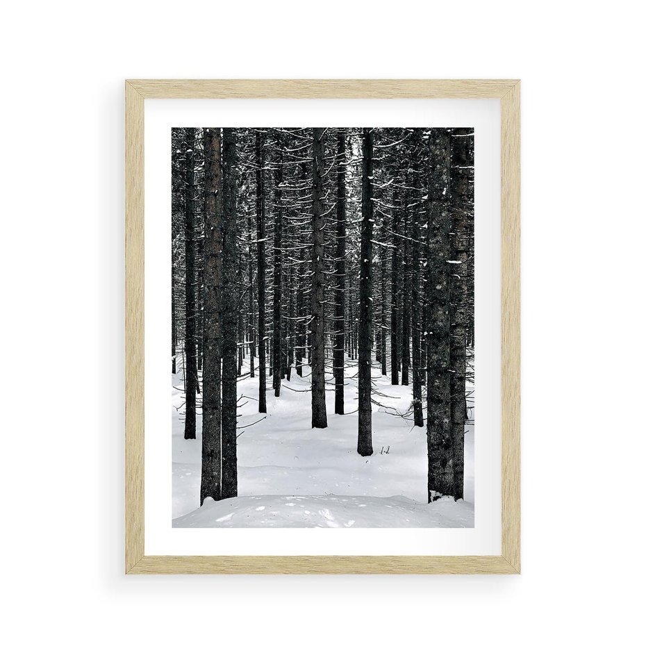 Plakat w ramie 40x50 - Zimowe Drzewa: Śnieg na Pniach - drzew w zimi, pnie drzew - rama drewno