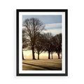 Plakat w ramie 50x70 - Siła natury - drzewa, pole - rama czarna