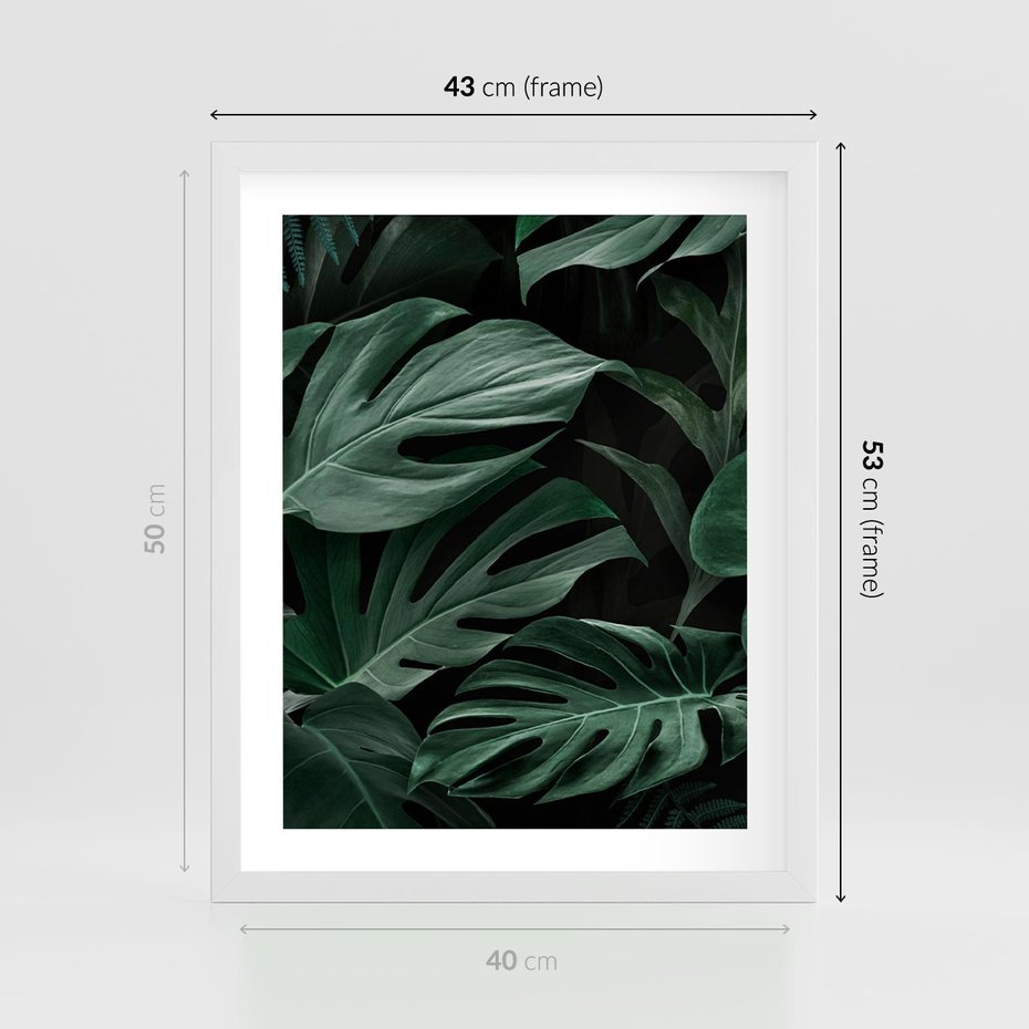 Plakat w ramie 40x50 - Zielone Liście Monstery w Dżungli - zielone liście monstery, dżungla - rama biała