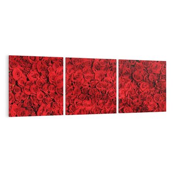 Obraz na płótnie 150x50 - Czerwona Pasja - czerwone, róże
