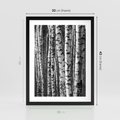 Plakat w ramie 30x40 - Kontrast Monochromatyczny - brzozy, czarno - rama czarna