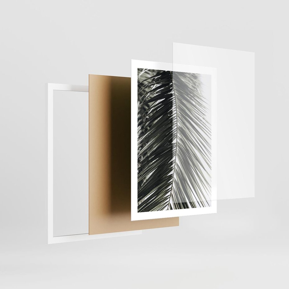 Plakat w ramie 50x70 - Liść Palmy: Egzotyczny Detal Natury - palma, liść palmy - rama biała