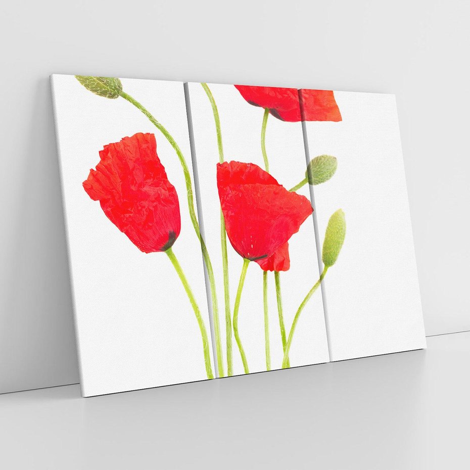 Obraz na płótnie 120x80 - Pola maków w pełnym kolorze - maki, kwiaty