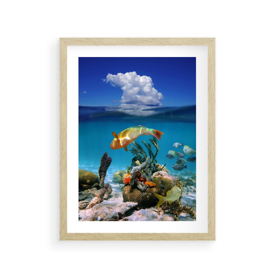 Plakat w ramie 30x40 - Podwodna rafa koralowa: kolorowy oceanowy świat - rafa, koralowa - rama drewno