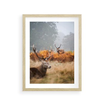 Plakat w ramie 30x40 - Malownicza Harmonia - jelenie, jesień - rama drewno