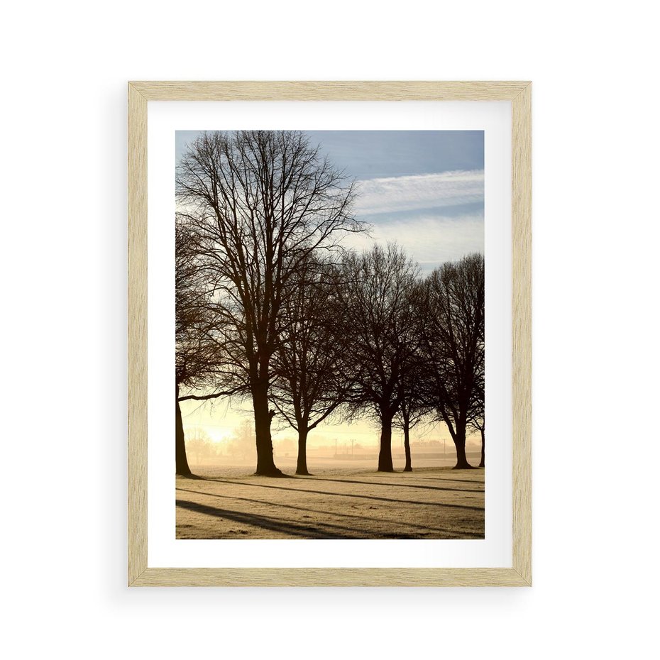 Plakat w ramie 40x50 - Siła natury - drzewa, pole - rama drewno