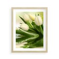Plakat w ramie 40x50 - Białe Piękno - białe, tulipany - rama drewno