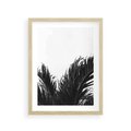 Plakat w ramie 30x40 - Tropikalna Uroda w Czerni i Bieli - fotografia czarno biała, liście palmy - rama drewno