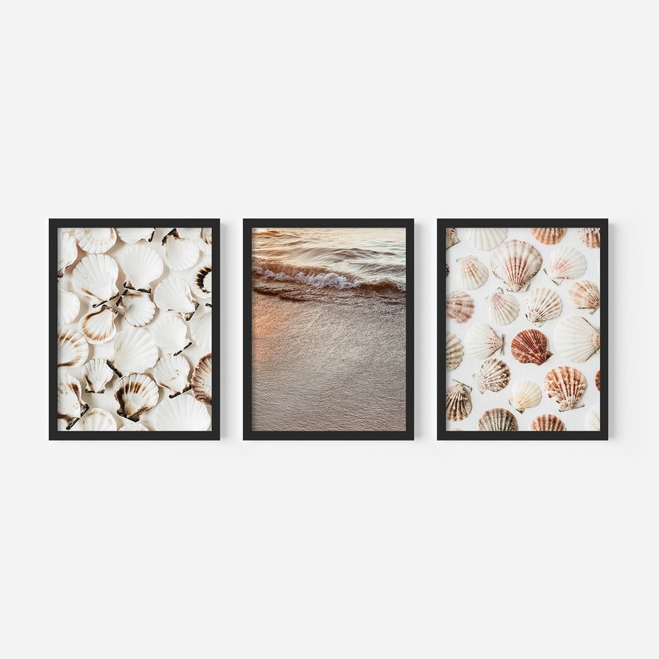 Zestaw obrazy w ramie 30x40 galeria - Morze, muszla, zachód, słońca - rama czarna