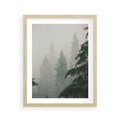 Plakat w ramie 40x50 - Mglista przemiana lasu - las, mgła - rama drewno