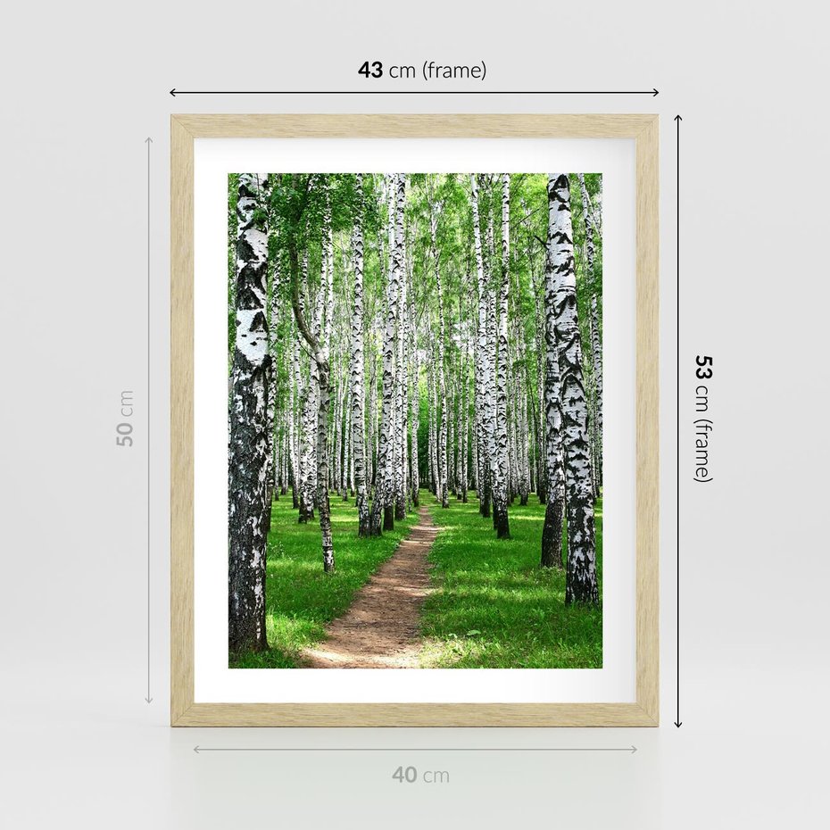 Plakat w ramie 40x50 - Bajkowy las pełen brzóz - las, brzozy - rama drewno