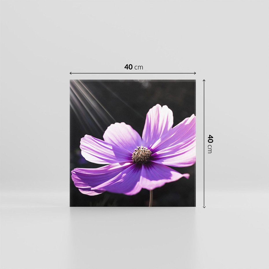 Obraz na płótnie 40x40 - Kwiatowy taniec natury - kwiat, kwiaty