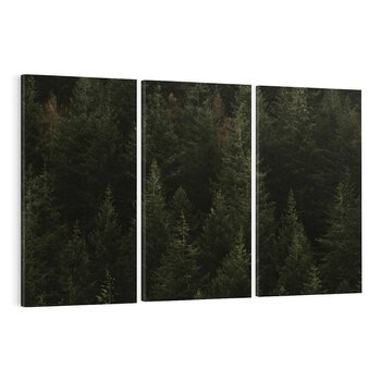 Obraz na płótnie 120x80 - Ciemny las iglasty - las, iglasty