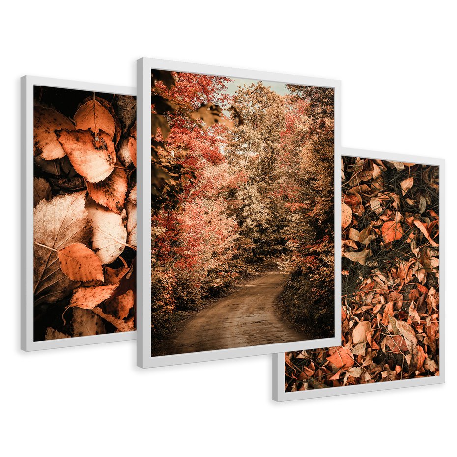 Zestaw obrazy w ramie 50x70 galeria - Liście, las, ścieżka - rama biała