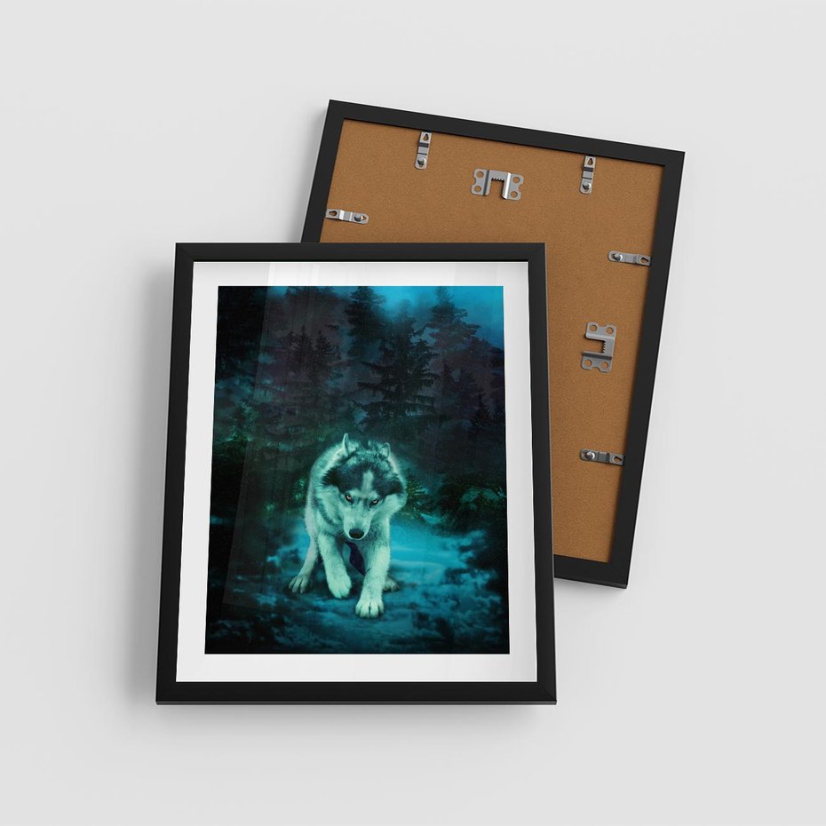 Plakat w ramie 40x50 - Siła i wdzięk natury - wilk, husky - rama czarna