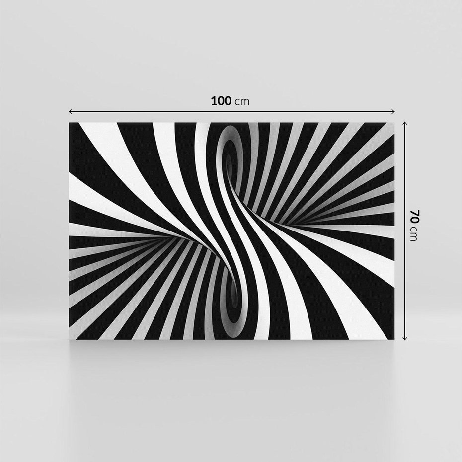 Obraz na płótnie 100x70 - Kolorowa Abstrakcja: Inspiracje Zebry - abstrakcja, 3d