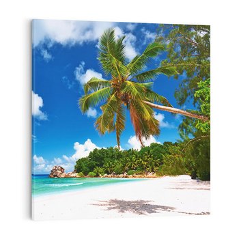 Obraz na płótnie 70x70 - Oaza palm na plaży - palma, plaża