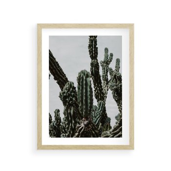Plakat w ramie 50x70 - Boho oaza wśród kaktusów - kaktusy, pustynia - rama drewno