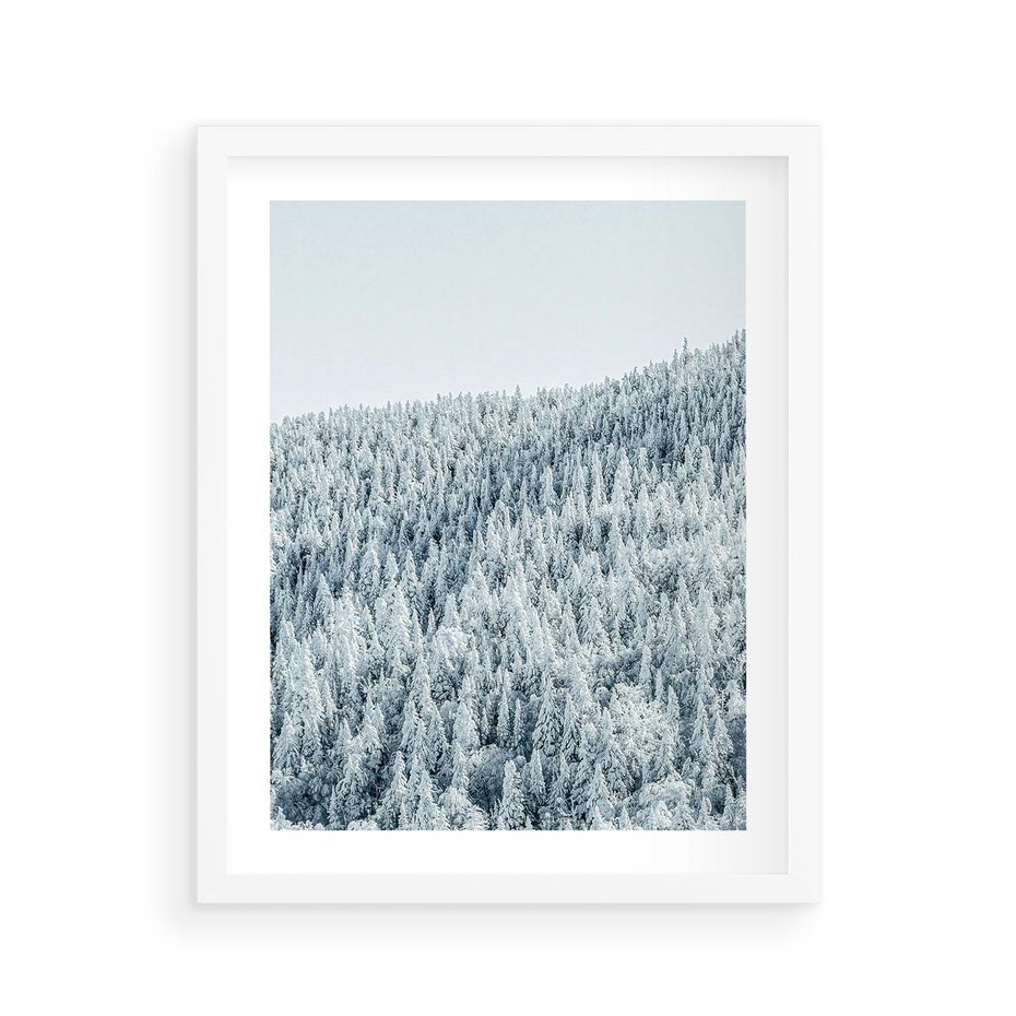 Plakat w ramie 40x50 - Cicha Zima - las, zima - rama biała