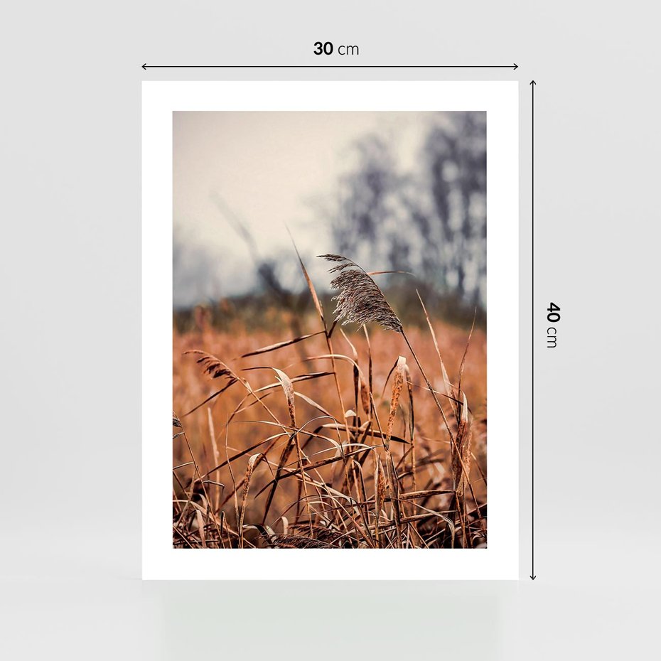 Plakat bez ramy 30x40 - Jesienna Melancholia - suche trawy, jesień