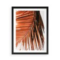 Plakat w ramie 50x70 - Słońce na Palmie - palma, promienie słońca - rama czarna