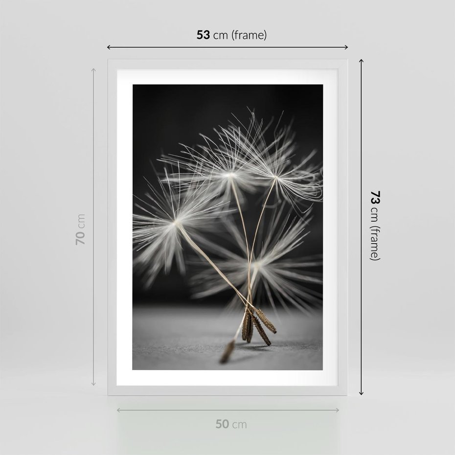 Plakat w ramie 50x70 - Delikatność dmuchawców zbliżenie - dmuchawce, zbliżenie - rama biała