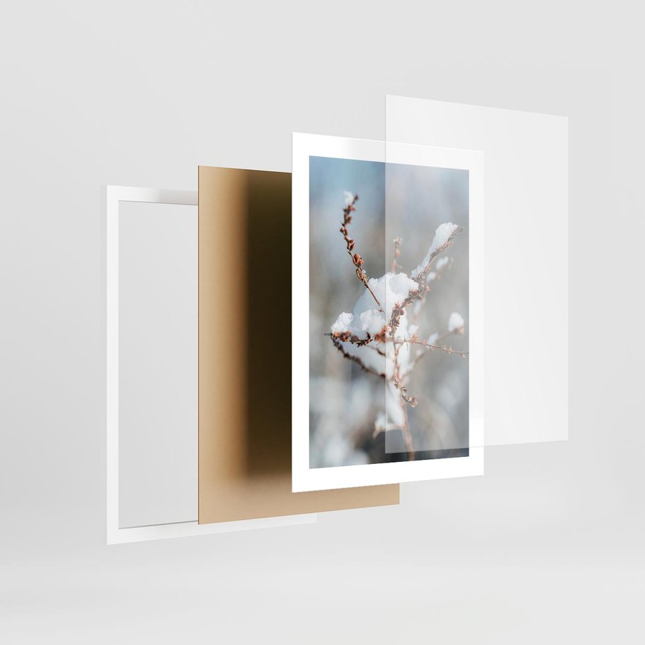 Plakat w ramie 30x40 - Zimowy Urok Natury - gałązki pod śniegiem, natura - rama biała