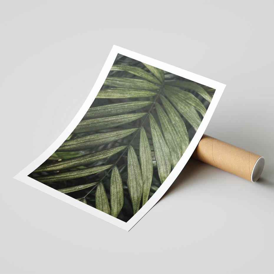 Plakat bez ramy 21x30 - W Liściach Ukryte - zdjęcie, fotografia