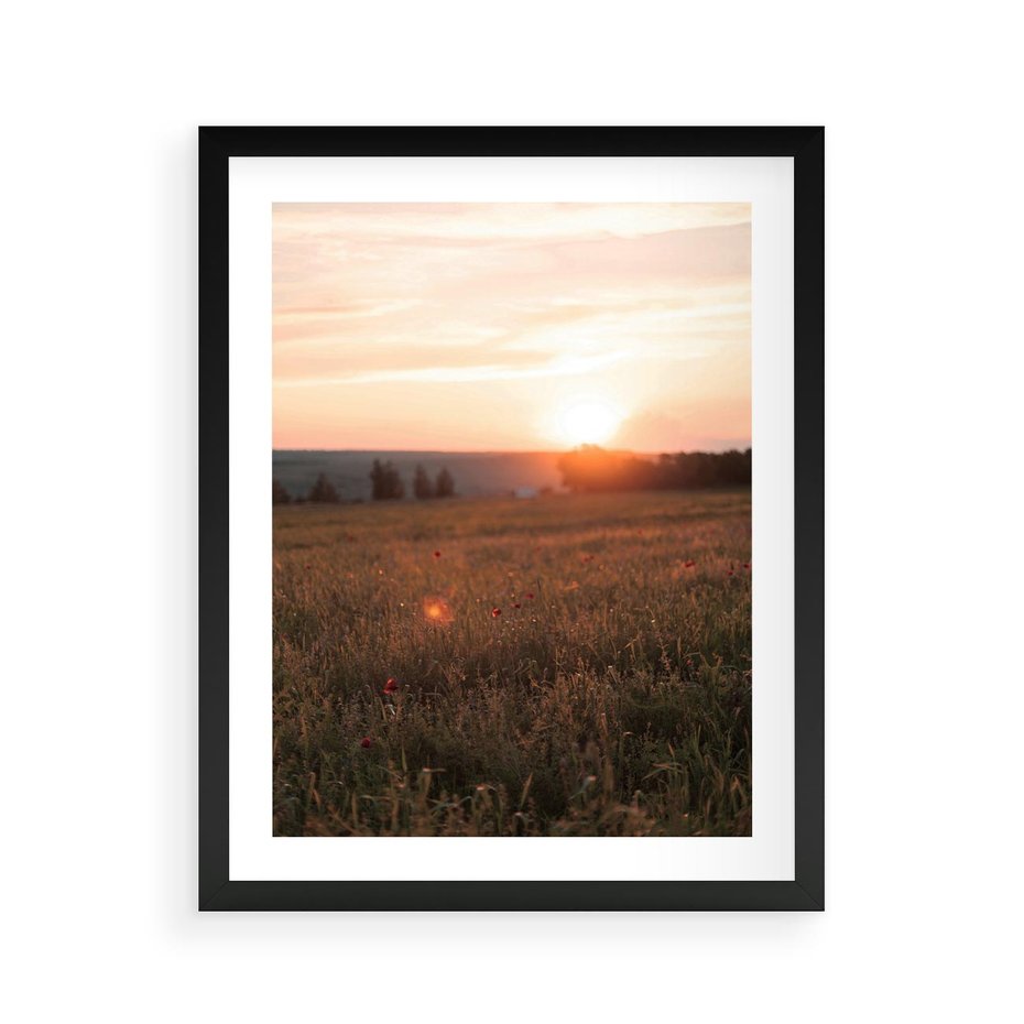 Plakat w ramie 40x50 - Łąka we Wschodzącym Słońcu: Magia Poranka - łąka, krajobraz - rama czarna