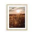Plakat w ramie 40x50 - Zachwyt zachodem słońca na łące - zachód, słońca - rama drewno