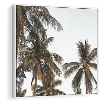 Obraz w ramie 80x80 - Palmy - tęsknota za Hawajami - palmy, Hawaje - rama biała