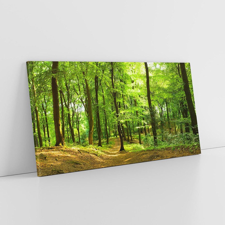 Obraz na płótnie 120x60 - Mistyka leśnych drzew - las, drzewa