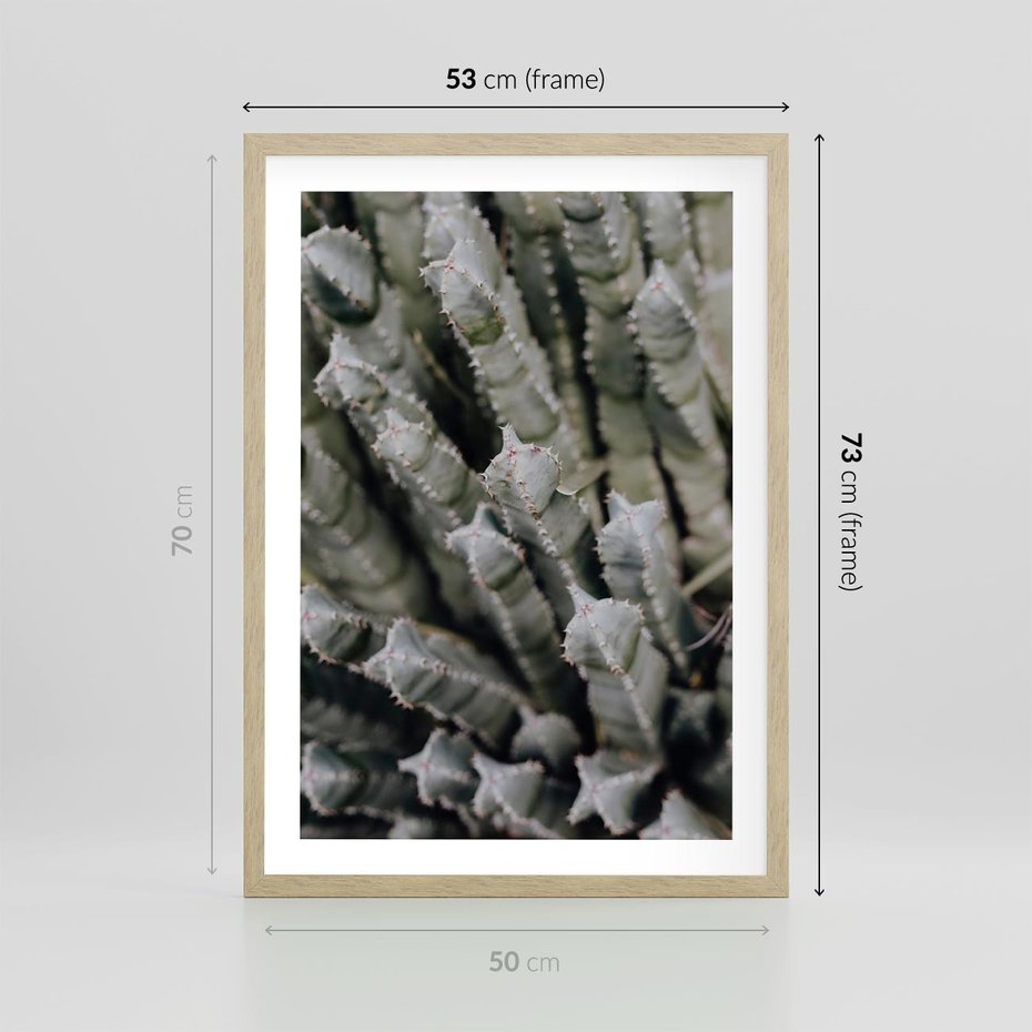Plakat w ramie 50x70 - Boho kaktusy na pustyni - kaktusy, pustynia - rama drewno