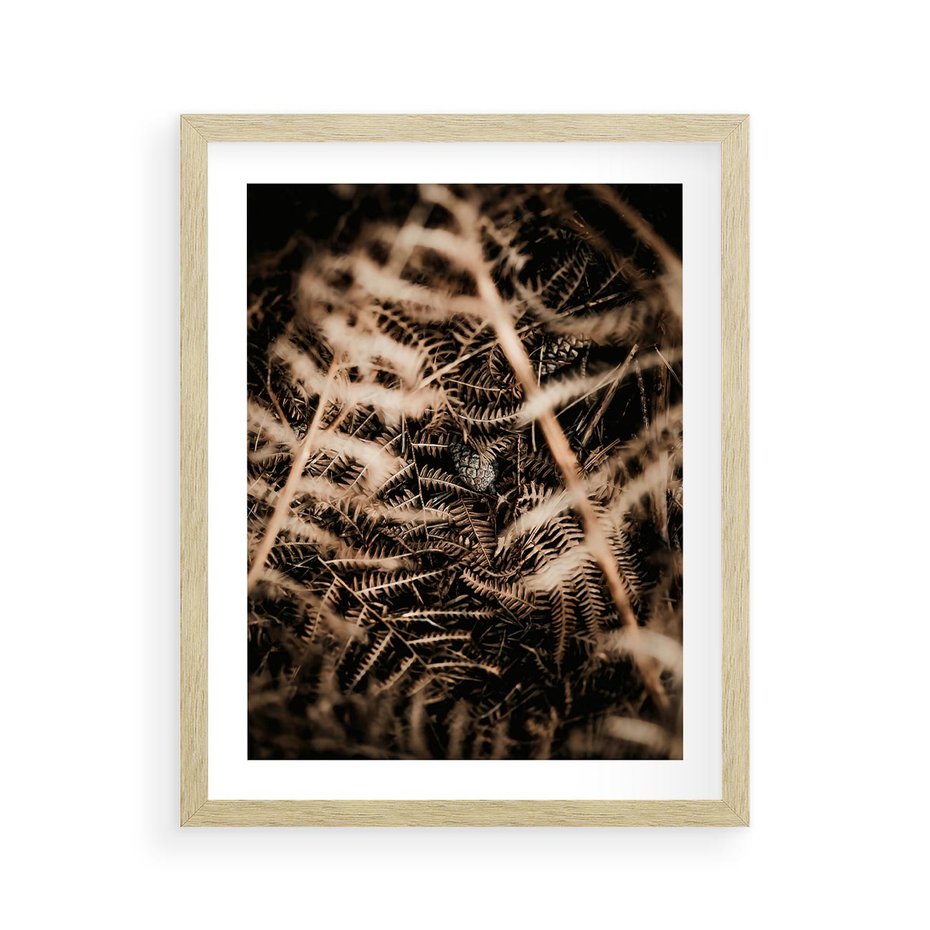 Plakat w ramie 40x50 - Liście i Paprocie - suche liście, paprocie - rama drewno