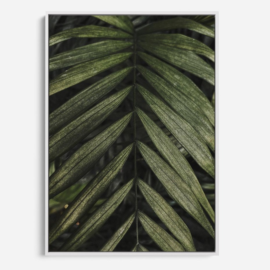 Obraz w ramie 80x120 - W Liściach Ukryte - zdjęcie, fotografia - rama biała