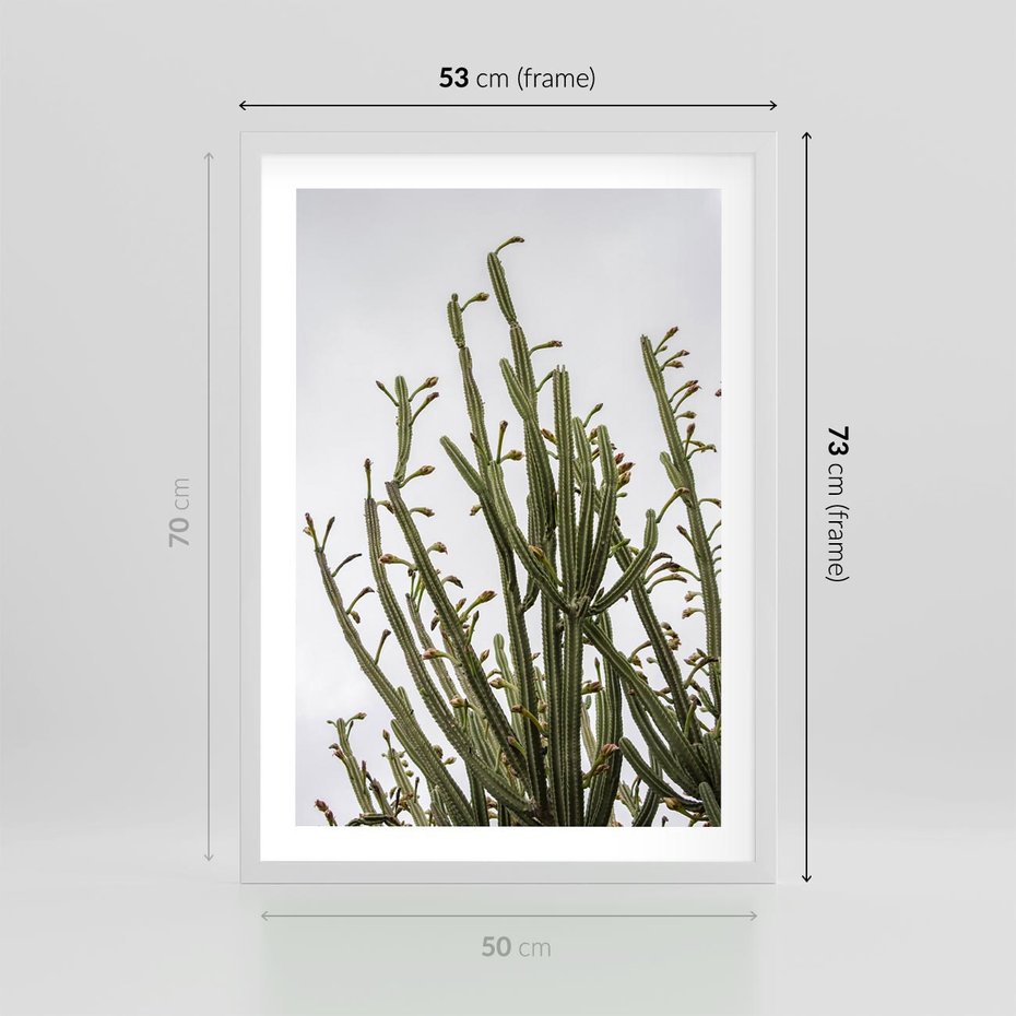 Plakat w ramie 50x70 - Ekskluzywna Roślinność - kaktusy, liście - rama biała