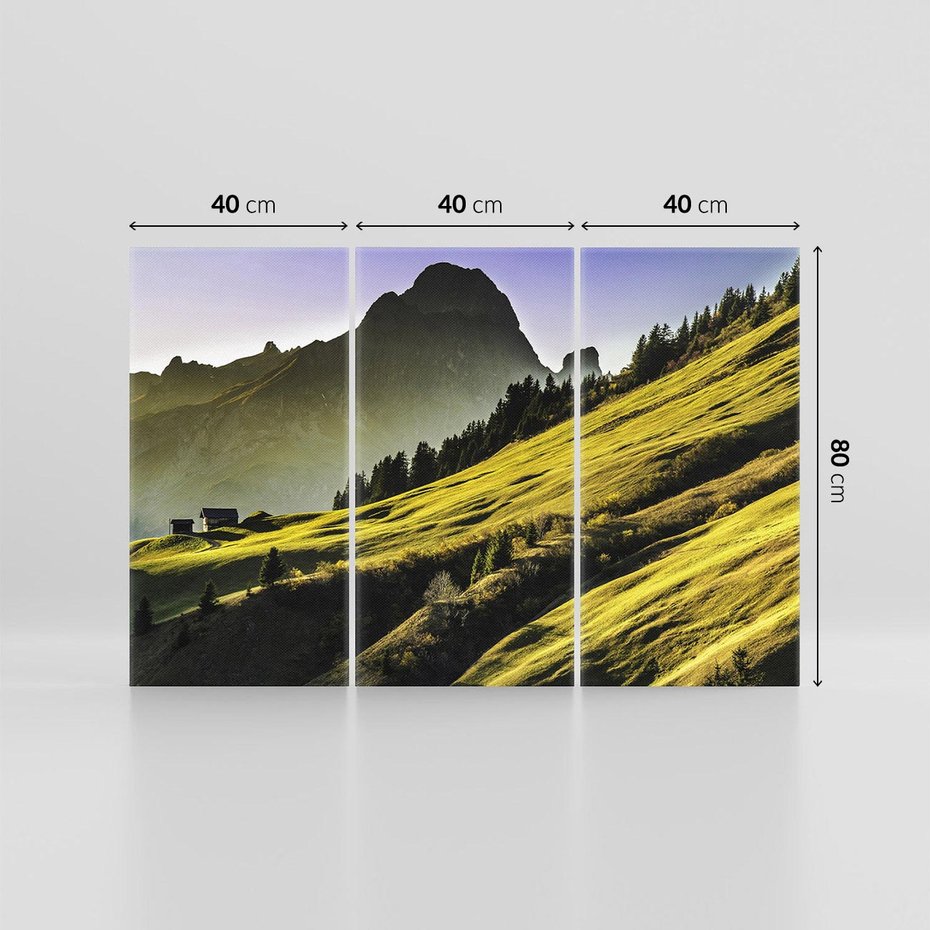 Obraz na płótnie 120x80 - Górska łąka - góry, łąka